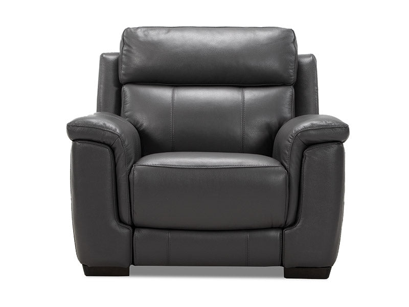 Genoa 1 Seat Leather Electric Recliner - Magnet